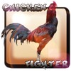 chicken fighter indonésia icon