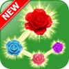 Rose Paradise matching games icon