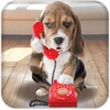 Puppy Call icon