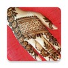 Offline Mehndi Designs icon