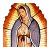 Virgen De Guadalupe icon