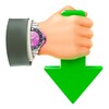 Icona di Internet Download Accelerator