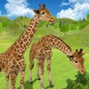 Giraffe Family Life Jungle Sim icon