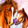 Horse Paradise - My Dream Ranch icon