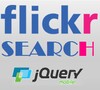 Flickr Search icon