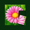 Jigsort® Puzzle आइकन