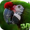 Parrot 3D Video Live Wallpaper icon