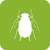 BugFinder icon