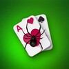 Spider Solitaire आइकन