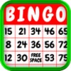 Classic Go Bingo Game Free icon