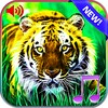 3D Animals Sounds & Wallpapers icon