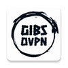 Icono de GIBS OVPN