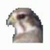 Falco Icon Editor Studio icon
