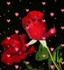 أيقونة Free Rose Heart Live Wallpaper