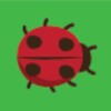 Catch Bugs icon
