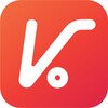 Икона VTENH