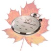 MapleXP feature
