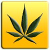 Weed Reggae Theme icon