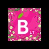 Barbora.LT icon