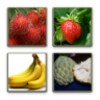 Tebak Nama Buah icon