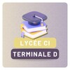 Icono de Lycée: Terminale D