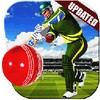 World Cricket Skills icon