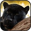 Black Panther Live Wallpaper icon