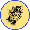Browser Leopard icon