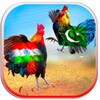 Farm Rooster Fighting Chicks 1 icon