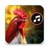Icono de Animal Sounds Funny Ringtones
