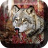 Wolves Live Wallpaper icon
