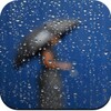 Rain Wallpaper 4K icon