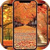 Fall Wallpaper 4K 图标