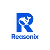Reasonix icon