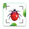 Icono de Insect ID