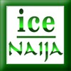 iceNaija icon