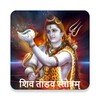 Shiv Tandav Stotram with Audio icon