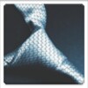 50 Shades of Grey icon