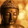 Buddha Gyan- बुद्ध ज्ञान: (बुद्धका महान् ज्ञानहरु) icon