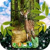 Forest Live Wallpaper icon