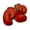 Boxer icon