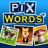 Icona di PixWords