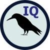 Raven IQ Test icon