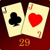 Card 29 icon