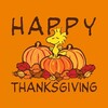 Thanksgiving Day icon