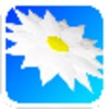 Daisy: Virtual Flower Extreme! icon