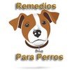 🐶 Remedios Caseros Para Perro icon