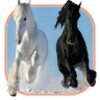 ThoroughbredHorse icon