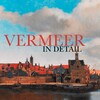Vermeer In Detail icon