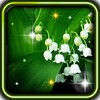Springs Lilies Flowers icon